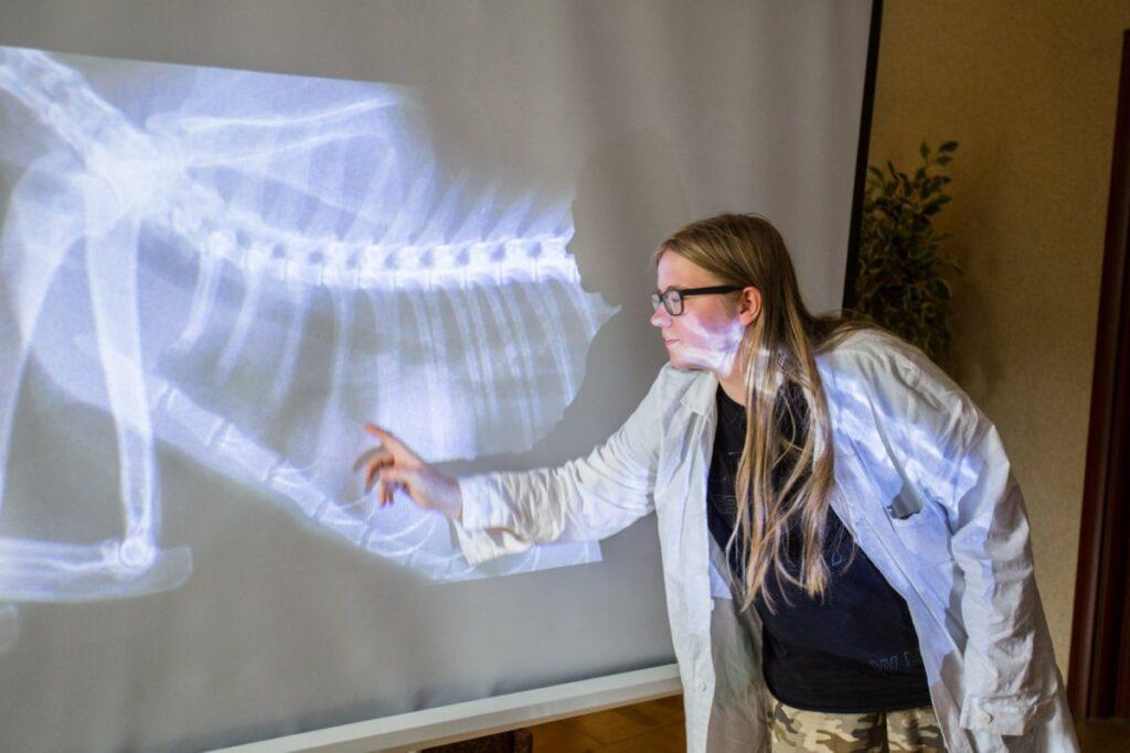 Obóz weterynaryjny 2025