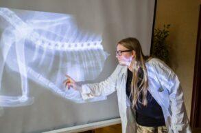 Obóz weterynaryjny 2021