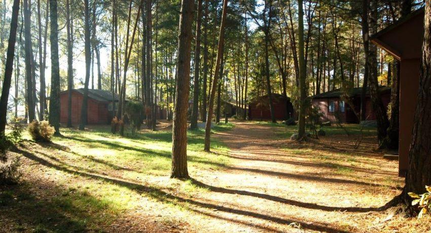 Ośrodek w lesie