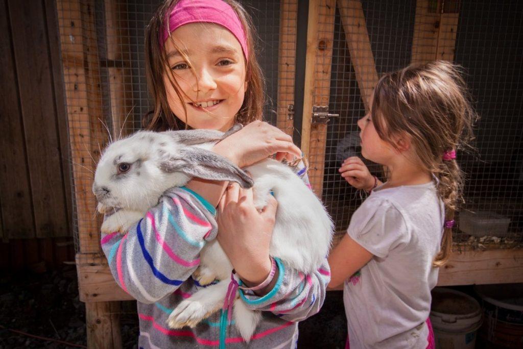 Obóz doktora Dolittle 2024