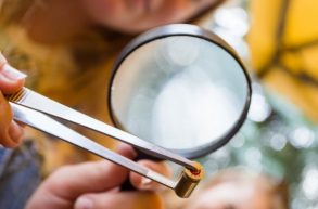 CSI obóz kryminalistyczny