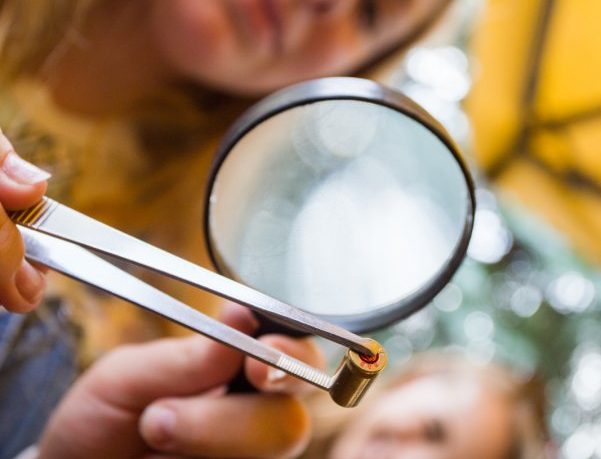 CSI obóz kryminalistyczny